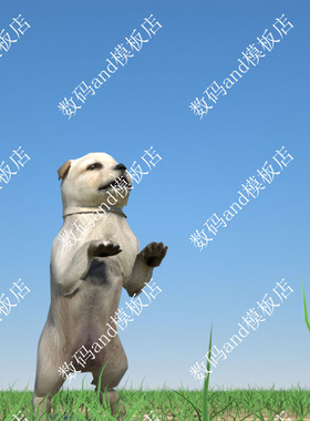 小狗3d模型骨骼绑定objfbx动画素材maya3dsmax虚幻ue4blendec4d狗