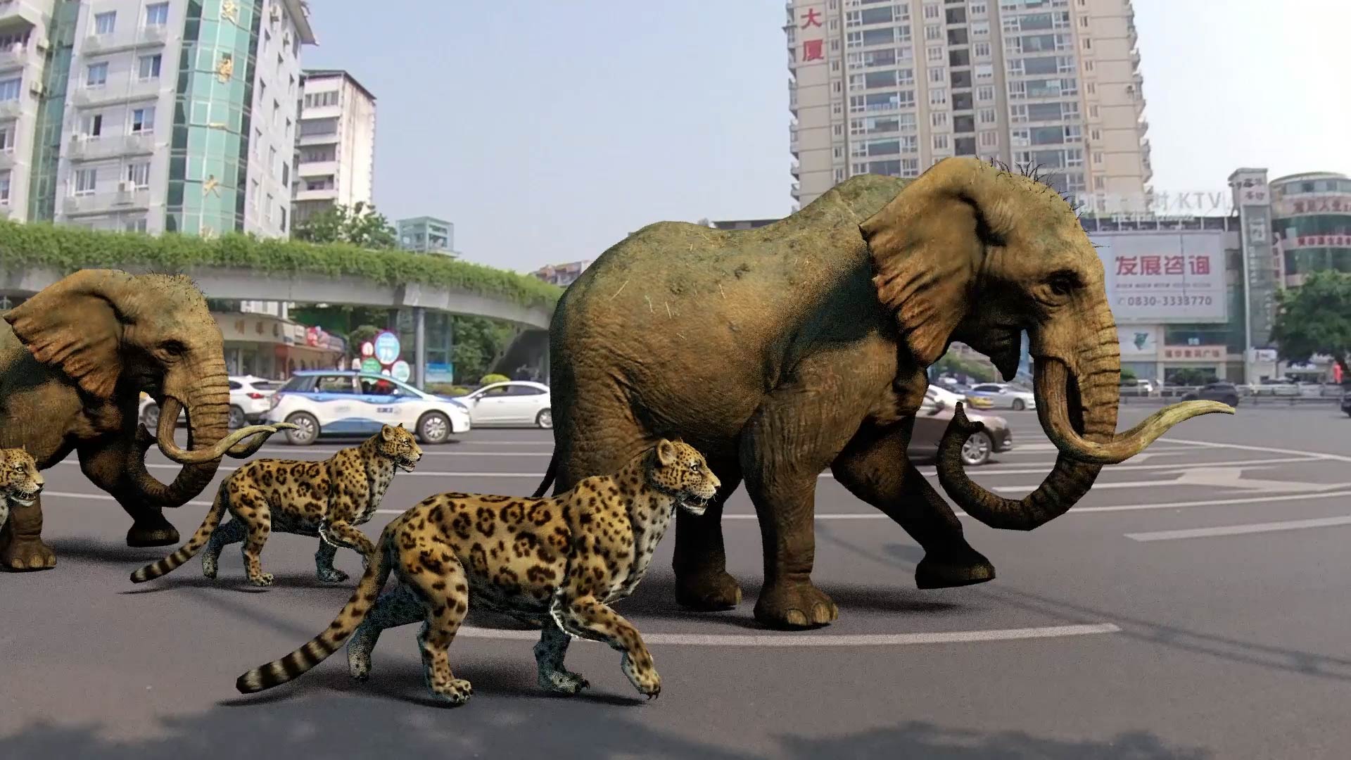 实景合成c4d三维实景合成objfbx文件工程文件实景跟踪c4d源文件