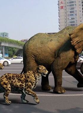 实景合成c4d三维实景合成objfbx文件工程文件实景跟踪c4d源文件