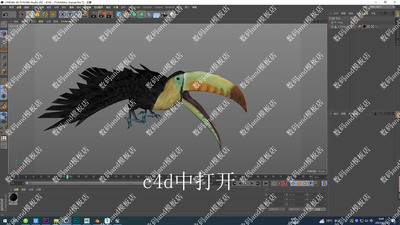 大嘴鸟骨骼绑定模型objfbxmaya3dsmaxc4d 虚幻4 ue4 blende大嘴鸟