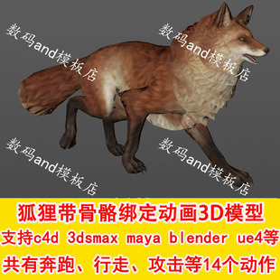 c4d狐狸 狐狸3d模型骨骼绑定objfbx素材maya3dsmax虚幻ue4 blende