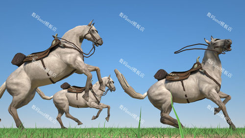 3d马模型素材动画blender马 3dmax马 maya马ue4马fbx c4d马3d模型