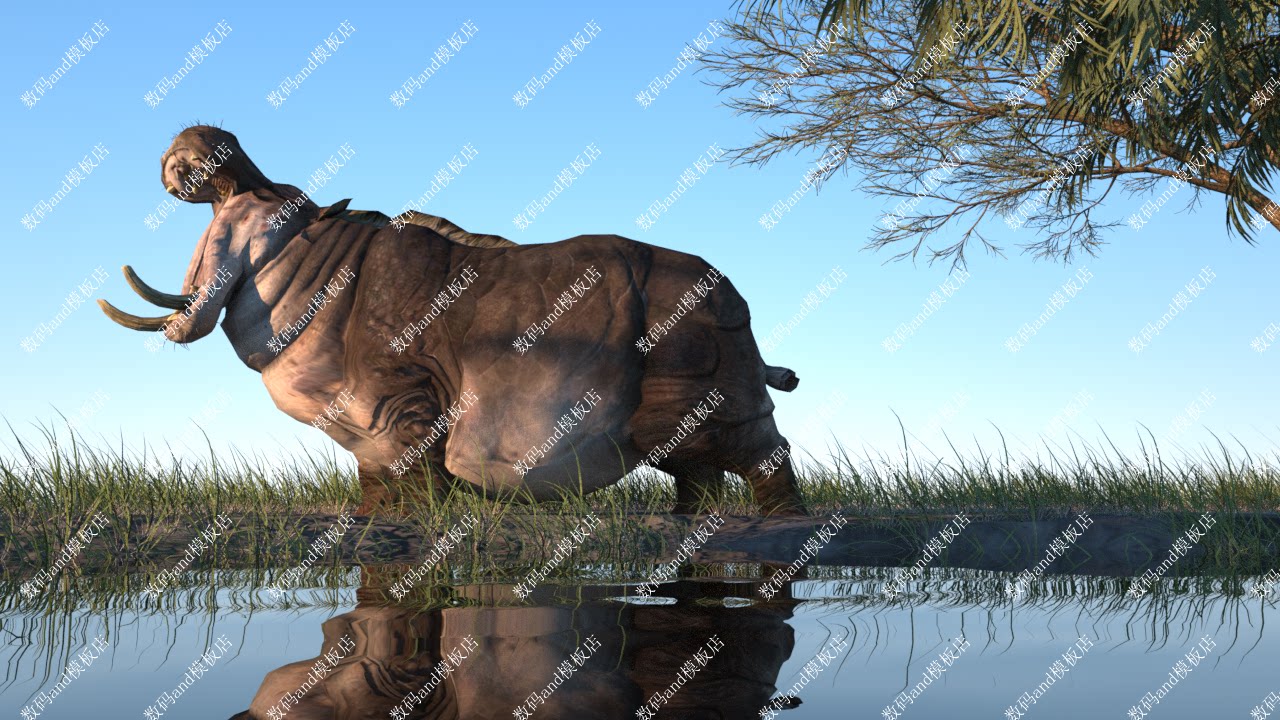 blender河马骨骼绑定动画动物模型三维3d素材maya 3dsmax c4d河马