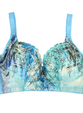 包邮清仓专柜正品戴芝蒂女士文胸超强聚拢调整型中模杯文胸A03908