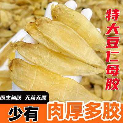 滋补品鱼胶豆仁胶干货术后正品