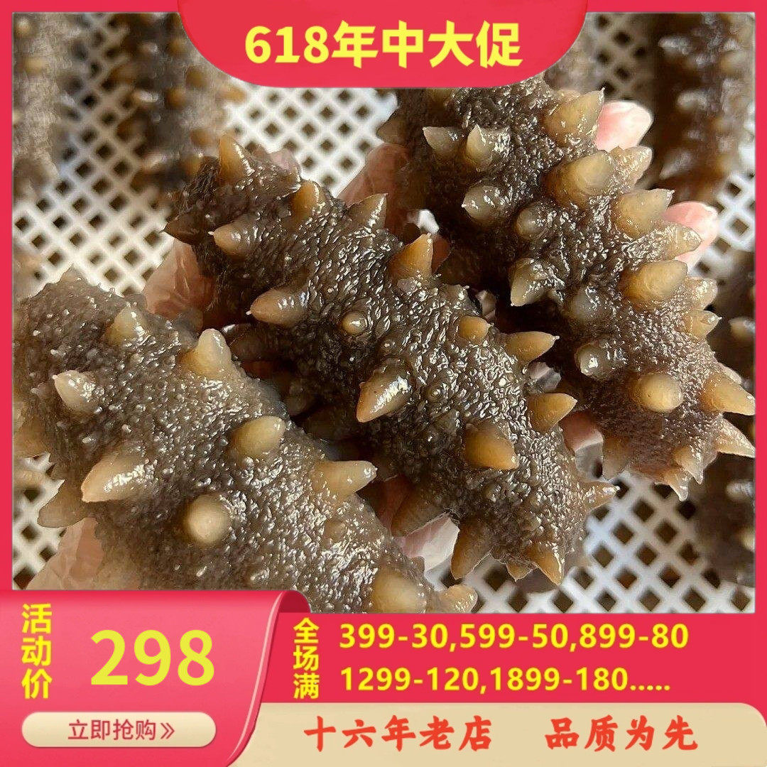 鲜食海参500克 大连底播刺参辽参 独立包装 冷蒸即食不包冰不泡药