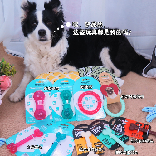 rosewood幼犬磨牙圈耐咬抗菌玩具