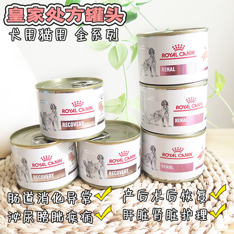皇家处方罐头犬猫康复期肾脏胰腺