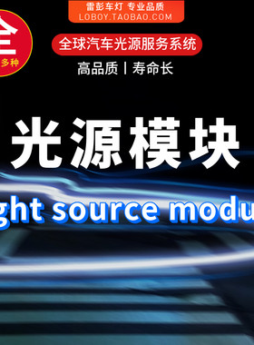 适用9.5本田雅阁日行灯导光条九代半雅阁大灯导光管灯带光源模块
