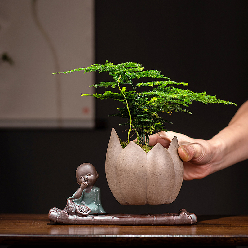 紫砂新中式禅意绿植盆栽盆