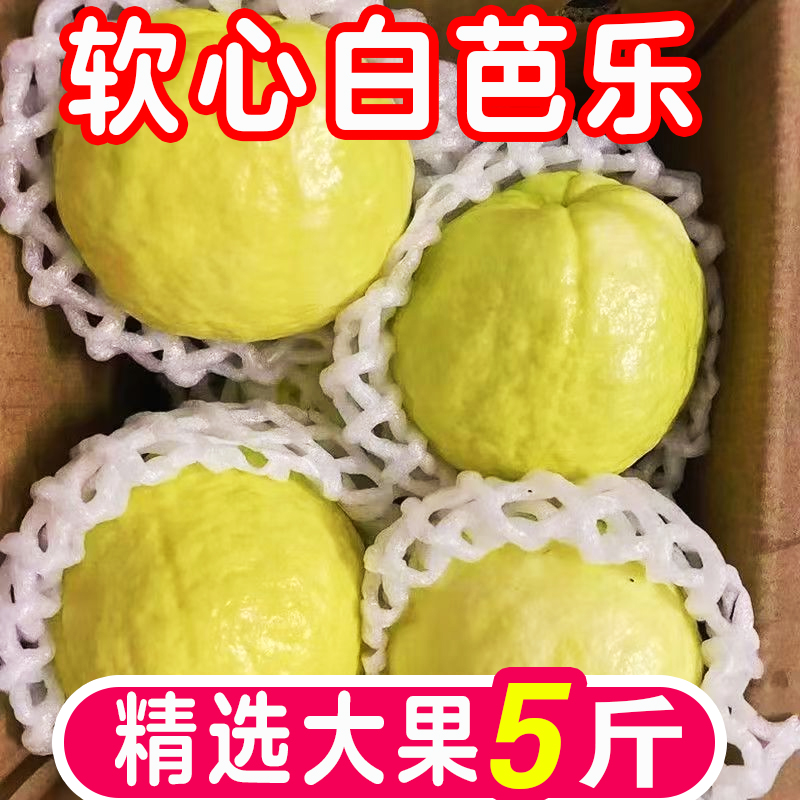 云南奶油芭乐心软白心番石榴新鲜现摘水果鸡屎脆甜批发整箱包邮