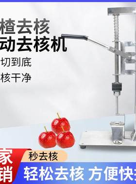 科源达山楂去核器油柑去核机