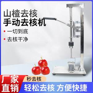 科源达山楂去核器油柑去核机