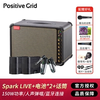 SparkLive (150 Вт) + две батареи + микрофон Yamaha + беспроводной приемник Ruifu