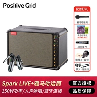 SparkLive (150 Вт) + микрофон Yamaha + беспроводной приемник Ruifu