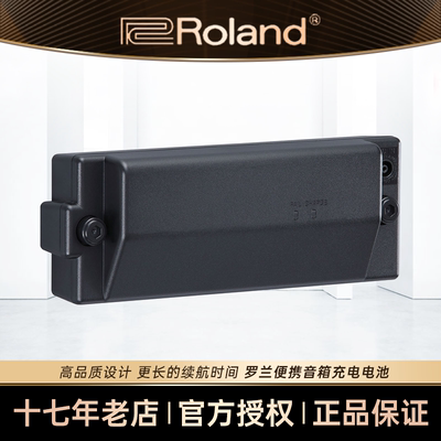 Roland CUBE EX AC33/BA330/KC220 BTY-NIMH/A音箱便携充电锂电池