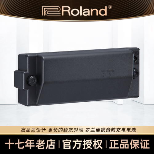 Roland CUBE EX AC33/BA330/KC220 BTY-NIMH/A音箱便携充电锂电池