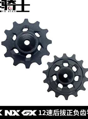 SRAM 速联 SN NX GX X01 XX1 Eagle 12速后拔树脂导轮 副厂配件