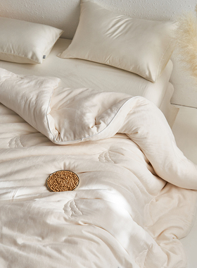 A类全棉华夫格65%大豆纤维被芯春秋被子简约双人柔软夏被保暖冬被