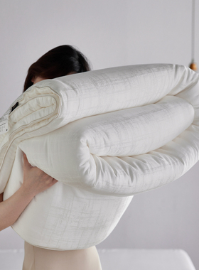 天丝棉提花长绒细绒棉花被芯春秋被子双人加厚保暖冬被子四季被芯