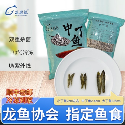 【龙虎弘】4斤专拍龙虎魟鱼食龟粮河虾泥鳅虾段丁鱼麦穗冷冻鱼食