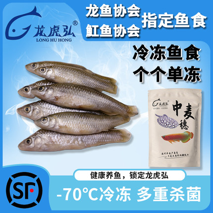 【龙虎弘】麦穗鱼 上浮小鱼营养丰富 龙鱼虎鱼魟鱼冷冻鱼食 丁鱼