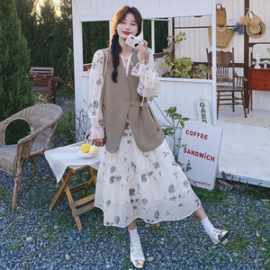 韩版设计感水墨画连衣裙套装女2025春秋季新款PU皮马甲长裙两件套图片