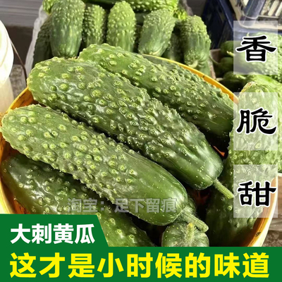 脆甜可口山黄瓜水果黄瓜