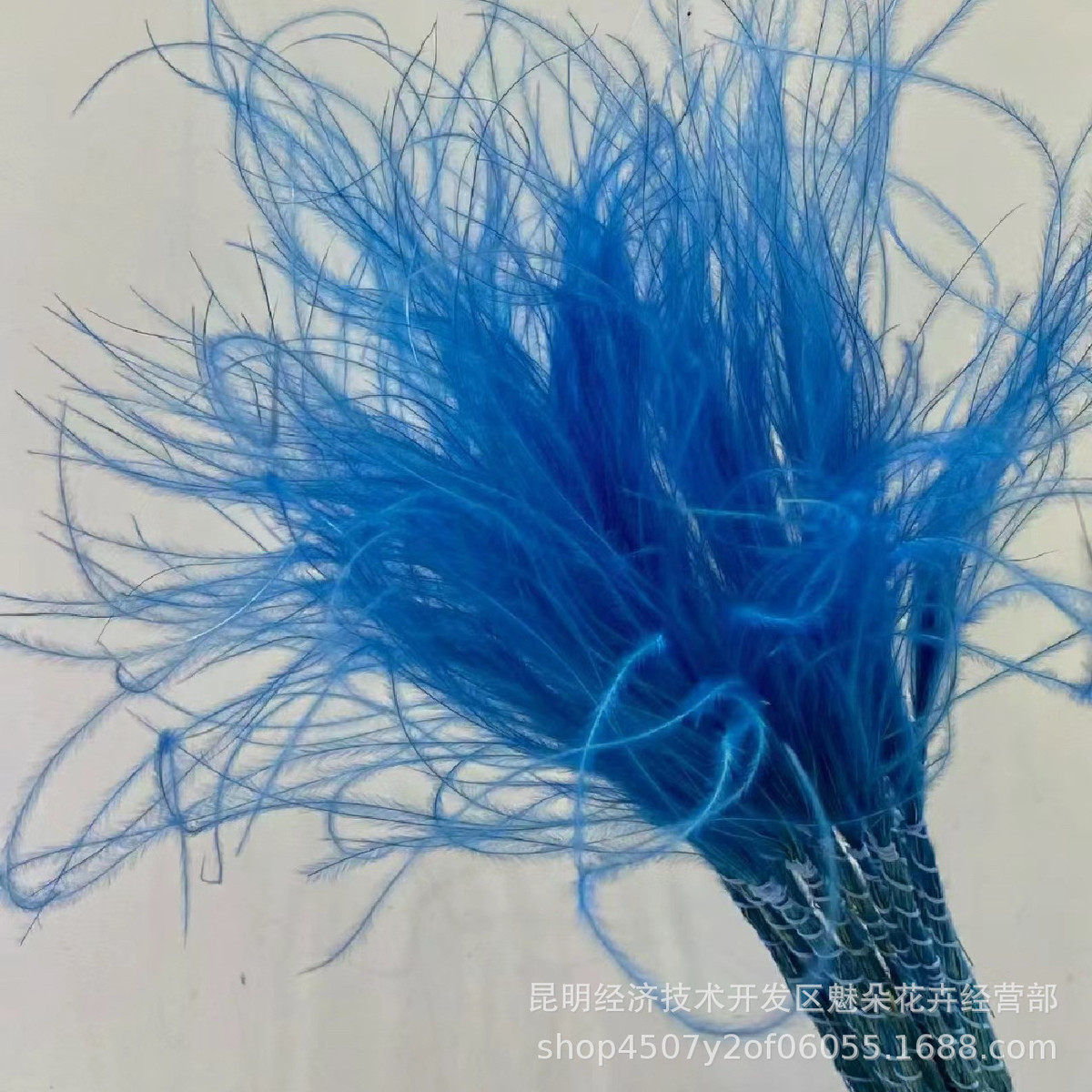 针百搭长杆羽毛草家居装饰拍摄道具仙气茅干花多色批发