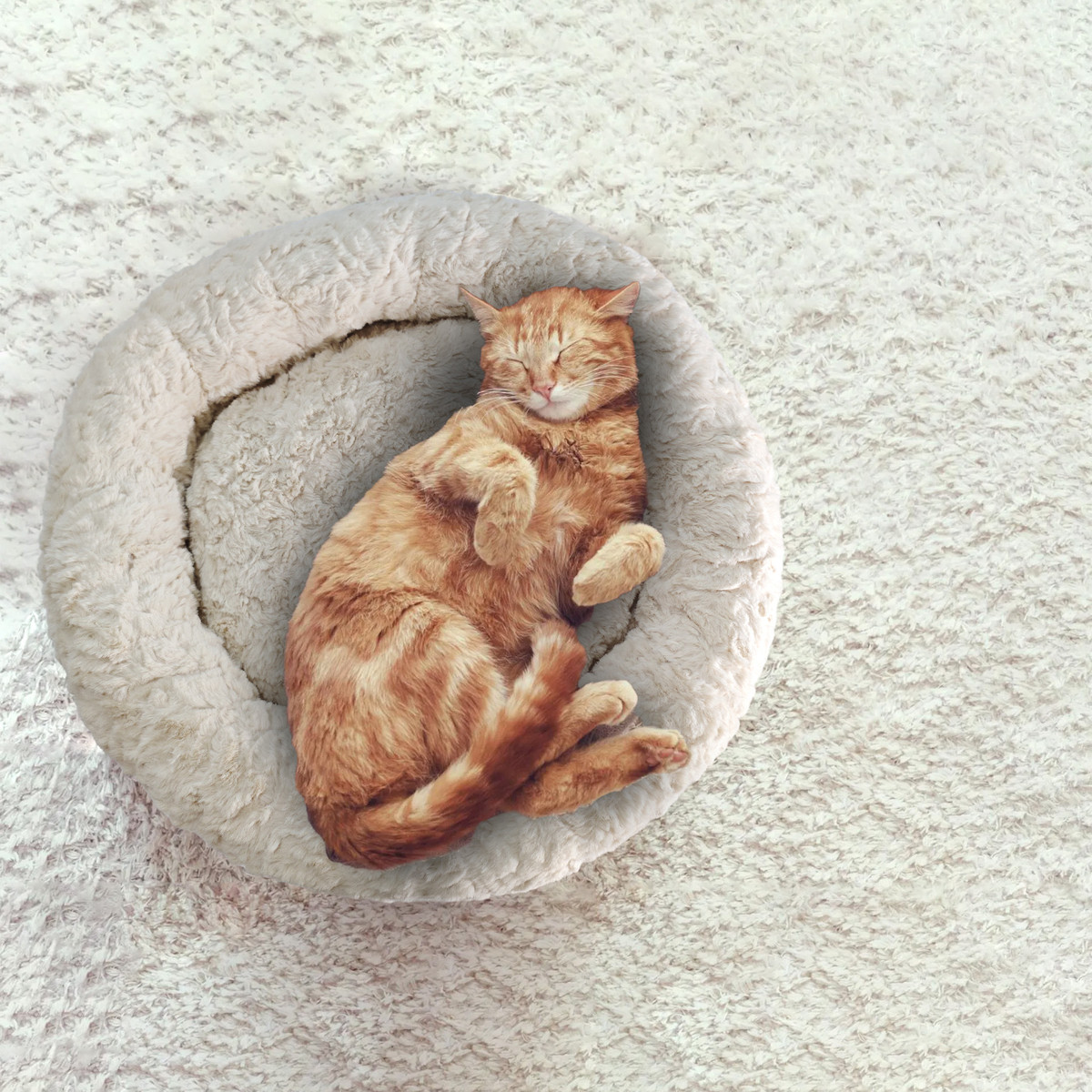 新款现货宠物窝猫咪冬季睡觉保暖毛绒猫窝四季通用狗窝批发