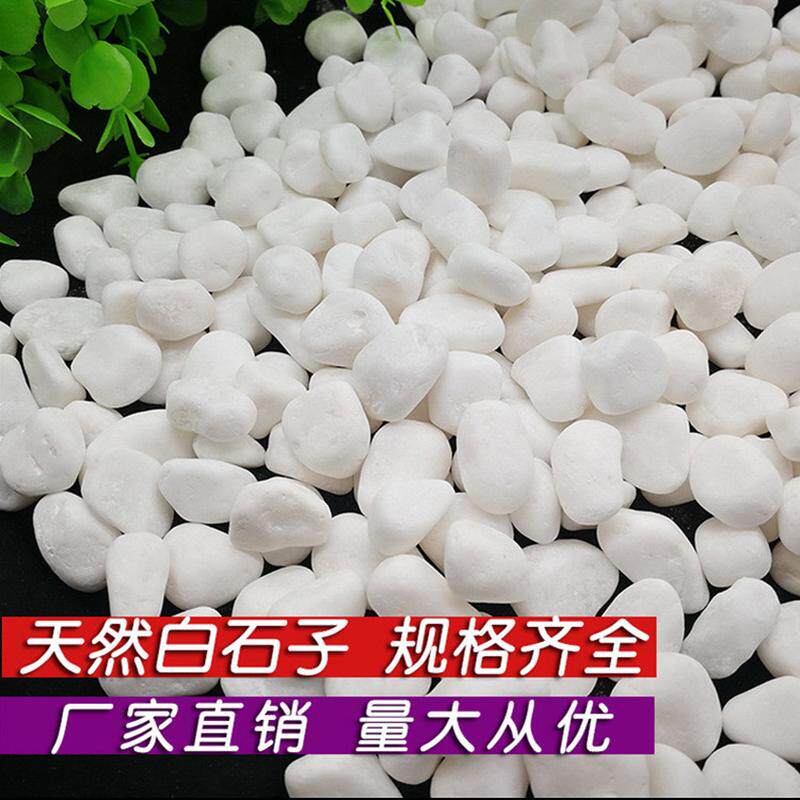 白色石子园林铺路碎石用白色鹅卵石白造景雨花石袋装彩色小石子
