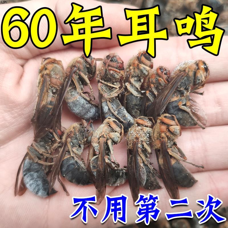 【耳鸣新辽法】神经性耳鸣脑鸣蝉鸣耳朵嗡响顽固性耳鸣耳聋止鸣贴