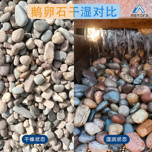 变压器专用鹅卵石基建铺路厂家园林造景鱼缸铺底彩色卵石过滤供应