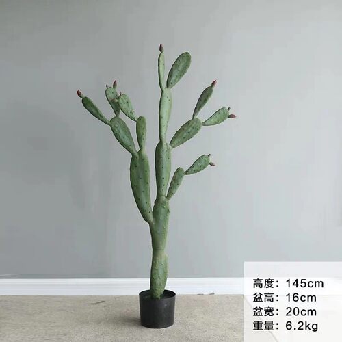 热带大型仿真沙漠植物造景仙人掌柱仙人盆栽室内楼梯摆件橱窗装饰