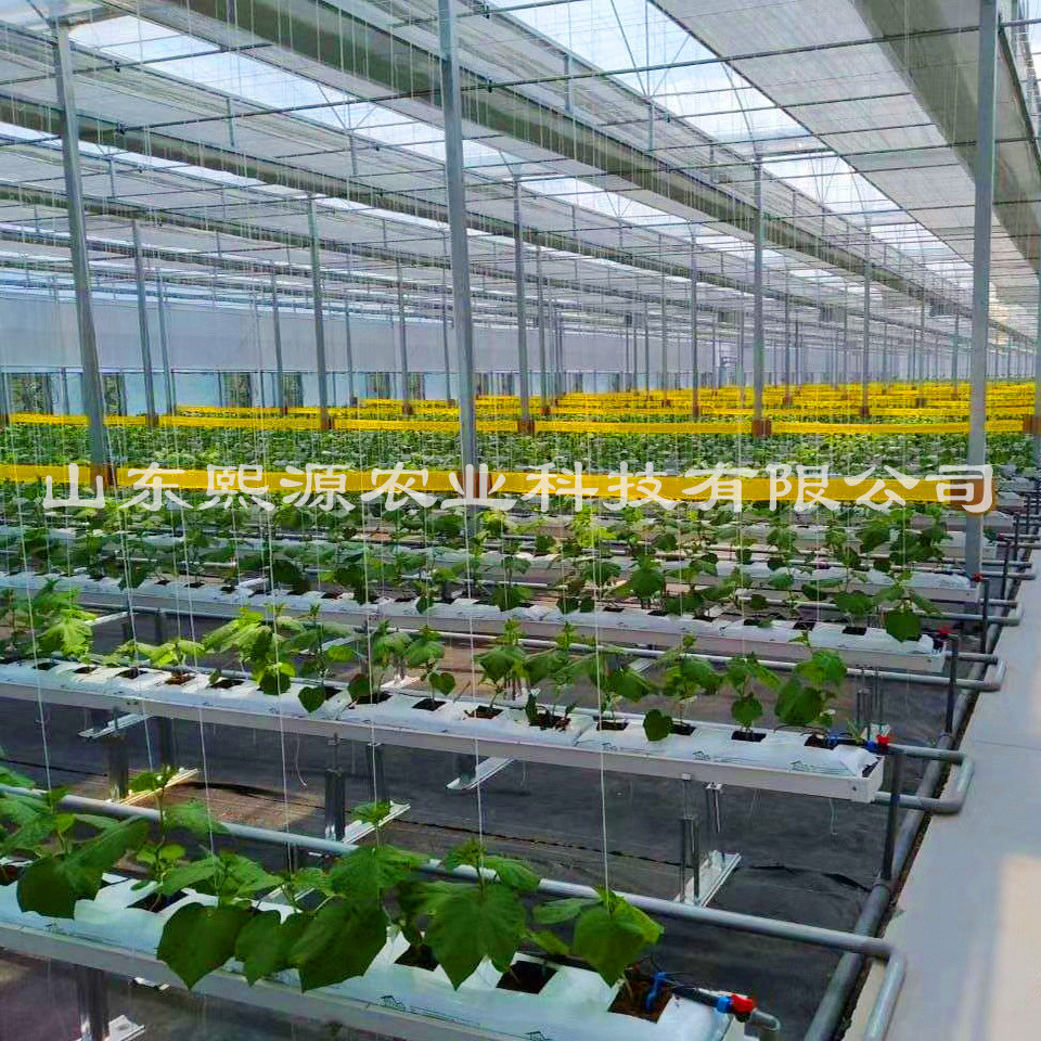 荷兰模式椰糠槽式立体种植立体栽培槽栽培栽培营养土栽培