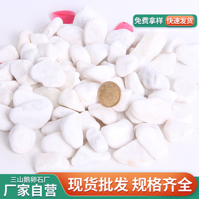 白色鹅卵石厂家直销雪花白雨头子园林景观鱼缸垫底机制碎石花石
