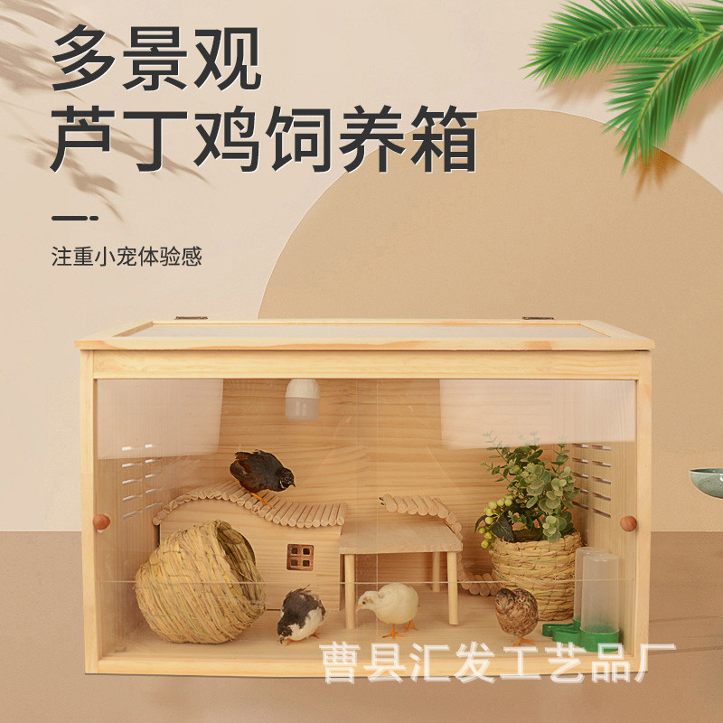 芦丁鸡饲养箱宠物饲养笼鸡窝全套造景房子保温箱笼子仓鼠育雏箱