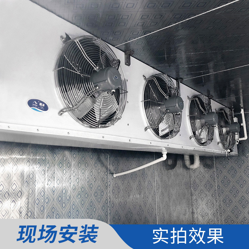空气霜吊顶式冷风机 dl/dd/dj型 水冲冷却器 冷库设备 厂家批发
