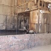 厂家直销702橡胶油膏勾缝楼顶公路堵漏屋面粘结剂