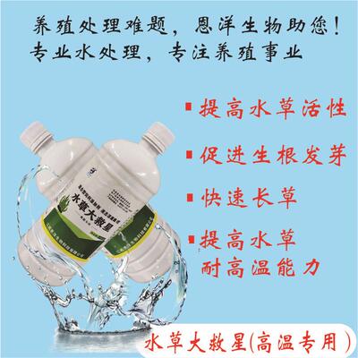 加强型恩洋水草大救星金促水草发白根高温保草有效生根粉植物通用