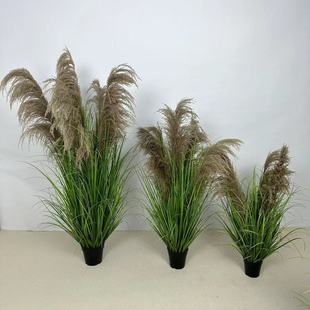 仿真芦苇盆栽婚庆网红室内摆件道具家居装饰品仿真狗尾草造景装饰