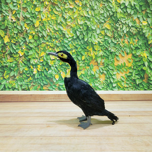 厂家直销羽毛造景鸬鹚鱼鹰模型摆件园林布景渔船装饰摆设仿真道具