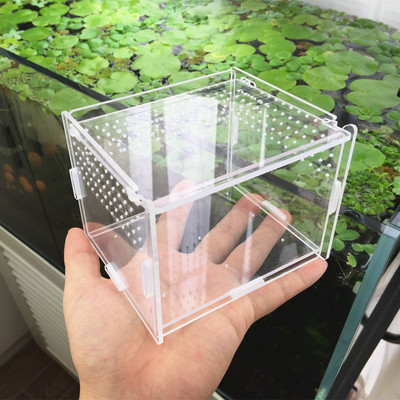 蜗牛饲养景观盒饲养盒蛛集合跳蜗牛商用爬宠饲养景观配件亚克力