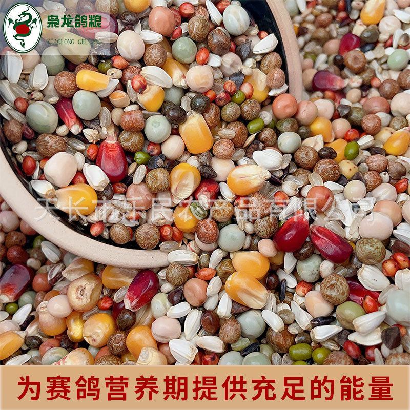 枭龙鸽粮营养a1赛鸽信鸽营养饲料鸽子食有玉米50斤