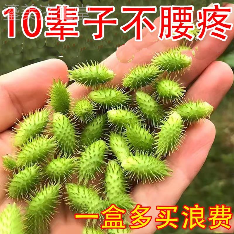 99%治腰疼】腰椎盘突出压迫神经脊椎疼痛腰肌劳损护腰专用药贴