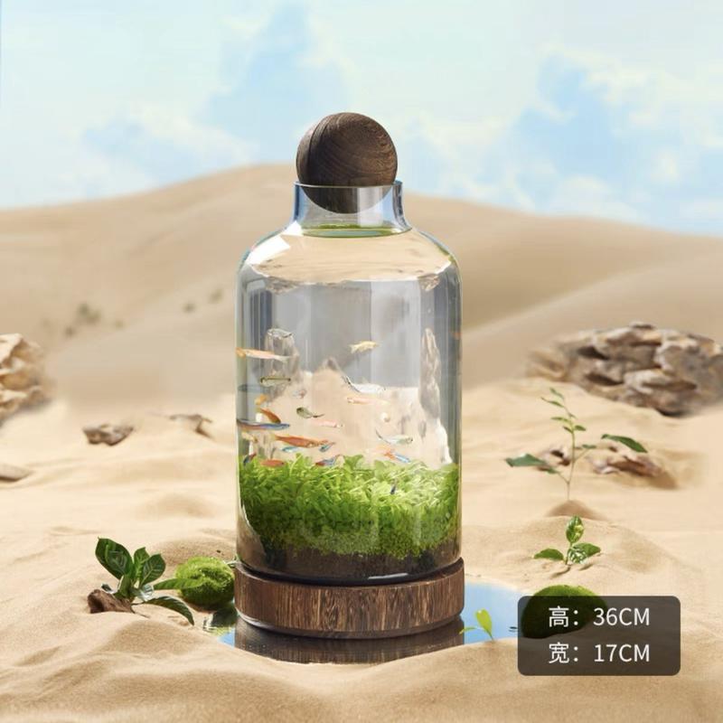 厂迷你生态鱼瓶玻璃鱼缸微景观鱼虾水草自循环办公室直销植物花瓶