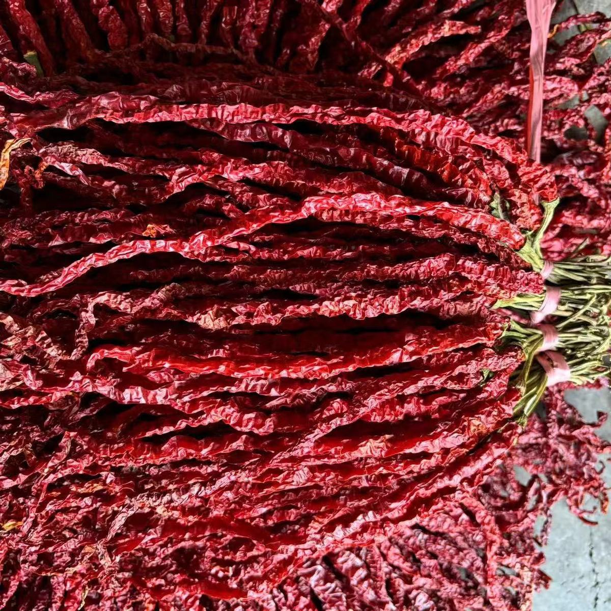 线毕节干辣椒贵州椒大方二荆条农家阴干中辣特香有把贵州干辣椒皱