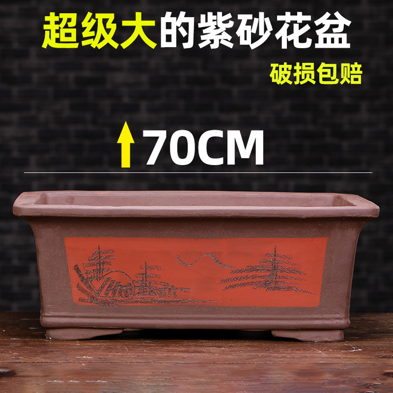 盆特大号盆景树桩庭院绿植超大口径长方形马槽榕树种树紫砂盆花盆
