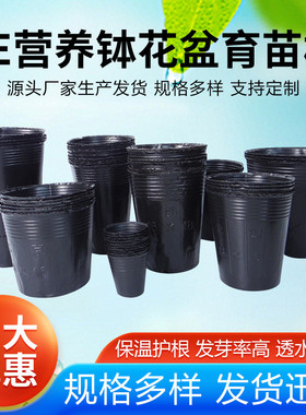 营养钵批发一次性秧苗育苗杯黑色花卉育苗盆塑料种植袋