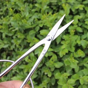 热销秋田不锈钢叶芽剪盆景造型工具兰花分苗昌整理修剪松针蒲手感